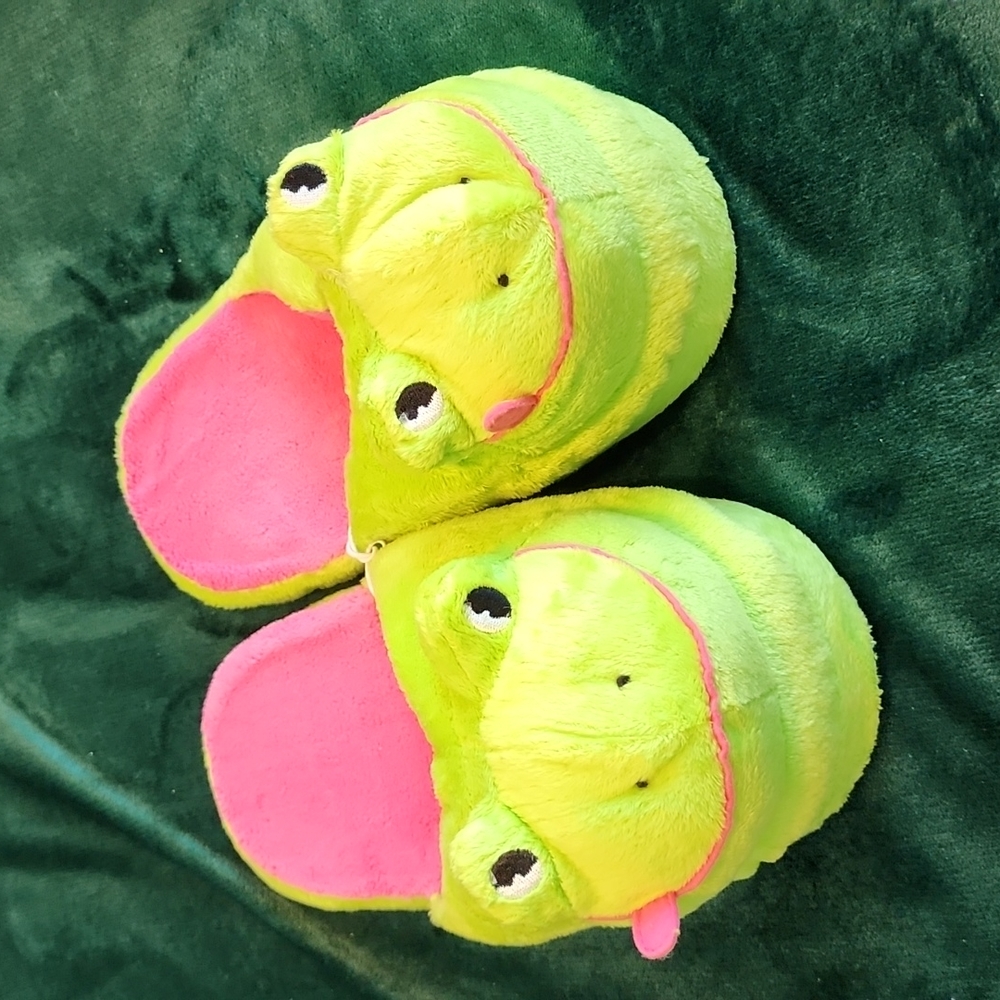 New Frog Slippers